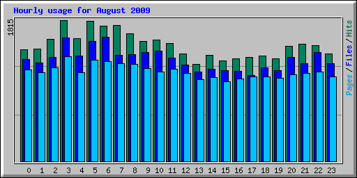 Hourly usage for August 2009