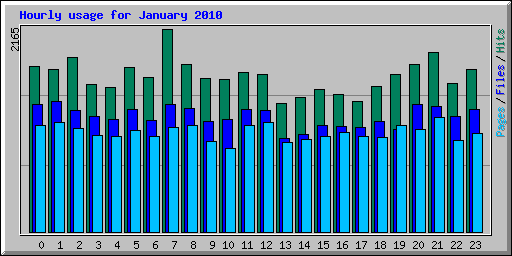 Hourly usage for January 2010